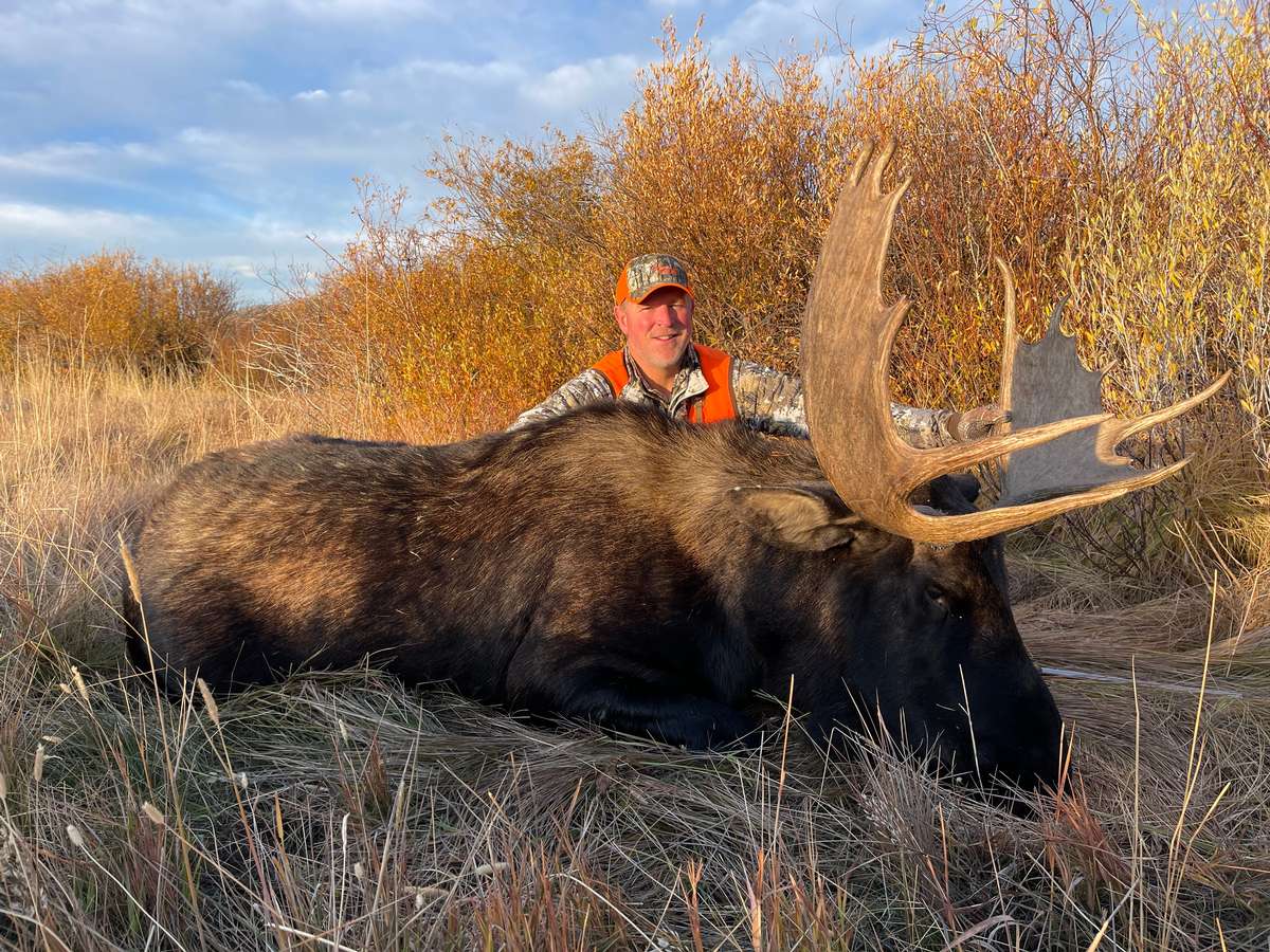 Colorado Shiras Moose Hunting Outfitters Guided Moose Hunts Colorado